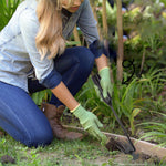 Werkzeug zum Unkrautjäten im Garten