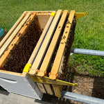 Praktische Bienenstock-Inspektionshalterung