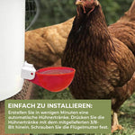 Automatische Hühnertränken (6 Stück)