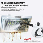 Dampfreinigungsgerät zur Desinfektion