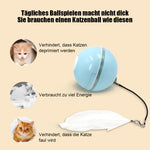 Automatisch geführter, intelligenter Katzenball