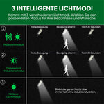 Solarbetriebene Gartenleuchte mit zwei Bewegungs- und Lichtsensoren