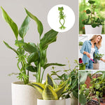 Frosch-Pflanzenständer