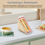 Dreieckiger Sandwich-Behälter