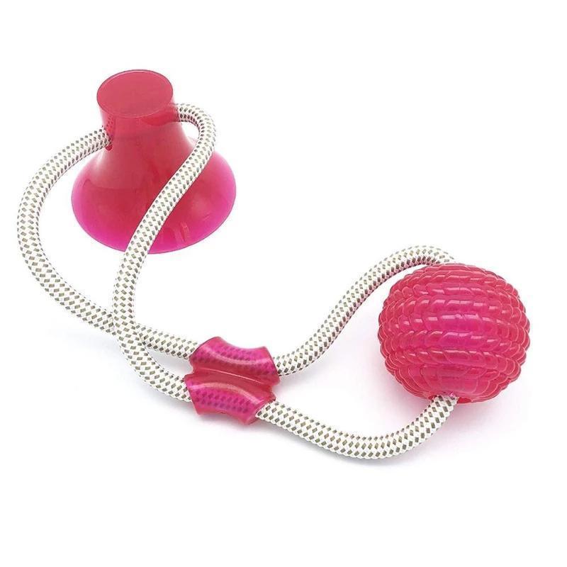 Multifunktionale Pet Molar Spielzeug