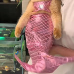 Lustige Meerjungfrauen-Kleidung für Katzen