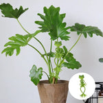 Frosch-Pflanzenständer