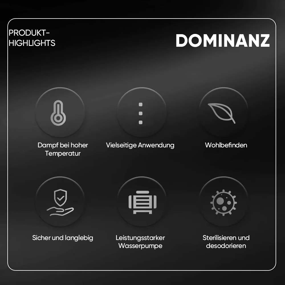 Dampfreinigungsgerät zur Desinfektion