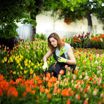 Werkzeug zum Unkrautjäten im Garten