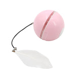 Automatisch geführter, intelligenter Katzenball