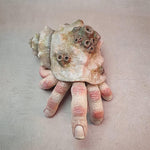 Finger-Parasit Krabbe Skulptur aus Kunstharz