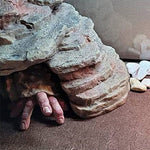 Finger-Parasit Krabbe Skulptur aus Kunstharz