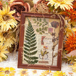 Trockenblumen Aufkleber Set