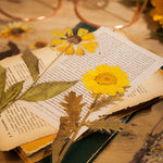 Trockenblumen Aufkleber Set