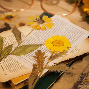 Trockenblumen Aufkleber Set