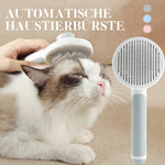 Selbstreinigende Slicker-Bürsten für Haustiere