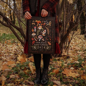 ✨✨Comdaliy — 2023/2024 Dunkler Wald Mondkalender