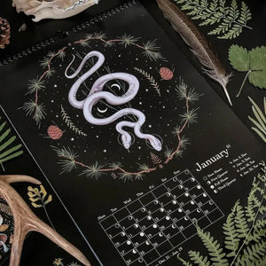 ✨✨Comdaliy — 2023/2024 Dunkler Wald Mondkalender
