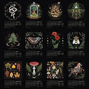 ✨✨Comdaliy — 2023/2024 Dunkler Wald Mondkalender